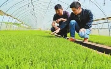 农技术员述职报告参考7篇