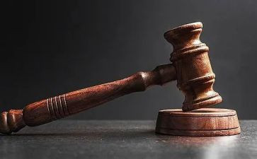 评拍卖申请书6篇