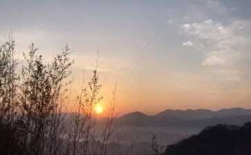 盼听课心得体会8篇