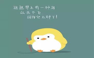 胖女孩的作文精选5篇