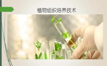 培养创新能力心得体会7篇