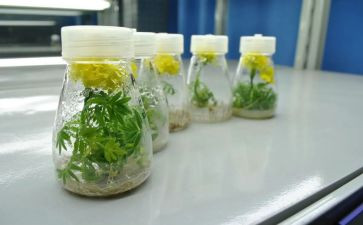 培养周心得体会8篇