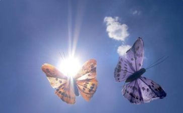 破茧成蝶的演讲稿5篇