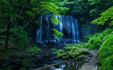 爬瀑布作文优秀5篇