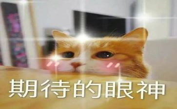 期待军训作文模板6篇