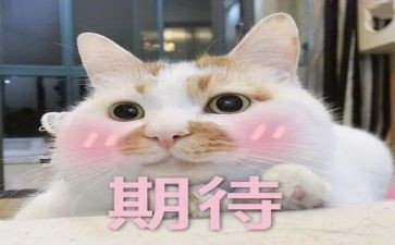 我期待的生活作文模板8篇
