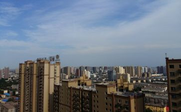 秦都区少先队活动方案精选8篇
