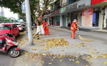 局清扫活动总结6篇