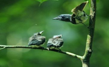 亲情的作文800字精选8篇