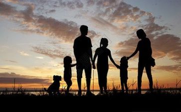 亲情的作文800字5篇