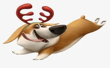 幼儿园犬只宣传工作总结5篇