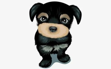 野犬女皇的读后感优秀5篇