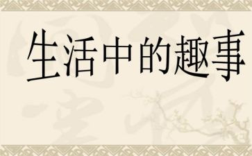暑假趣事作文250作文最新8篇