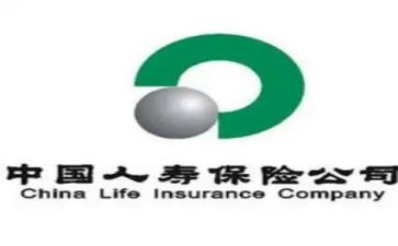 2024年人寿保险工作总结5篇