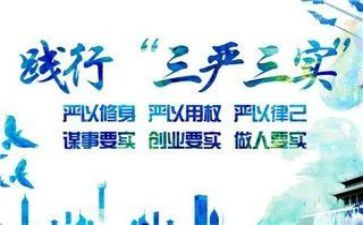 三严三实学习心得5篇