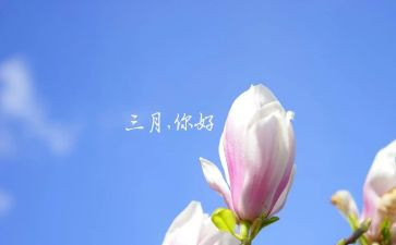 幼儿大班三月工作总结5篇
