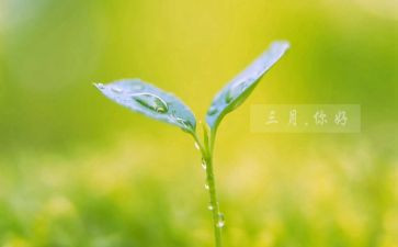 三月学雷活动总结6篇