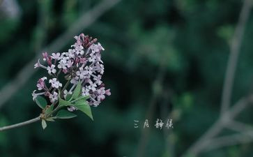 三月份工作总结参考5篇