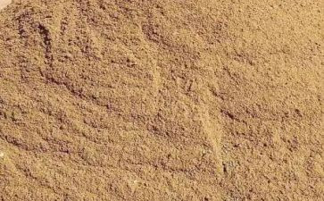 沙龙活动方案范文6篇