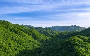 我爱我家乡的山和水作文最新8篇