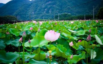 团生活个人总结6篇