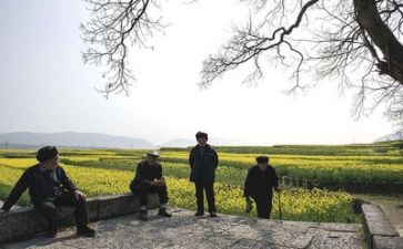 生活部工作总结个人总结8篇