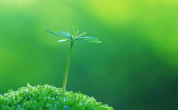 生命的馅的心得体会8篇