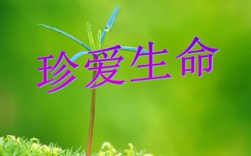 生命里的歌读后感优秀6篇
