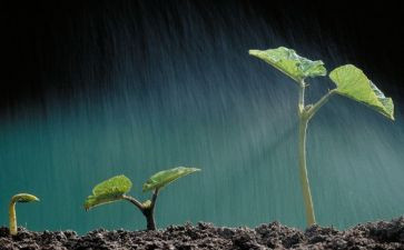 生命里的歌读后感最新8篇