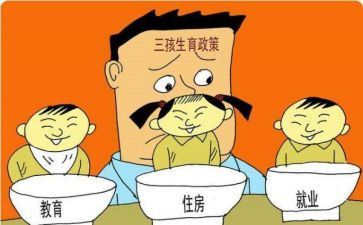 镇级计划生育自查报告8篇