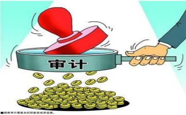 2024年审计年终工作总结6篇