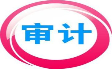 审计报告年度总结8篇