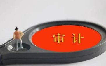 2024年审计局个人总结6篇