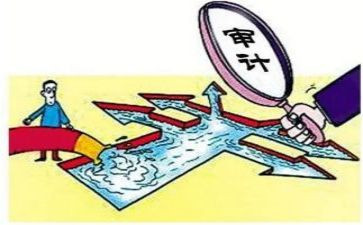 2022年审计总结报告5篇