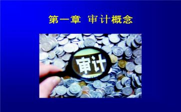 审计用述职报告参考6篇