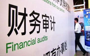个人审计年度总结5篇