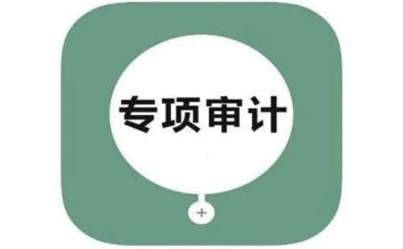 半年度审计工作总结5篇