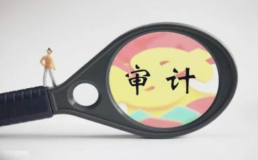 审计组工作心得体会6篇