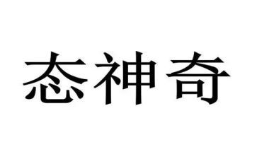 读了神奇校车的读后感7篇