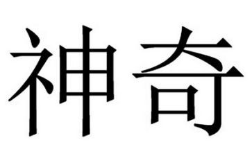 读了神奇校车的读后感推荐5篇