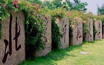 教师大会活动总结6篇