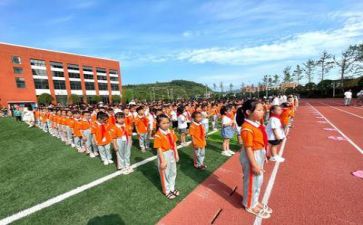 大实践活动总结5篇