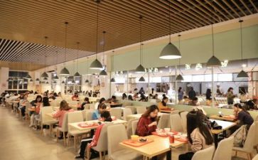 在食堂工作心得体会7篇