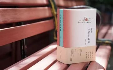 诗文化活动总结通用8篇