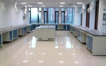 串的实验心得5篇