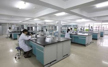 小实验作文400字8篇