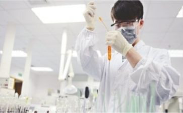 实验类的作文最新6篇