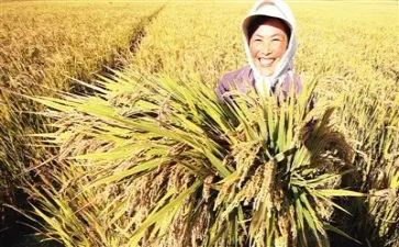 培训体会及收获心得推荐6篇
