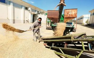 收粮食心得体会最新5篇
