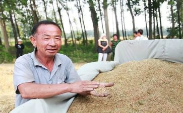 收粮食心得体会6篇